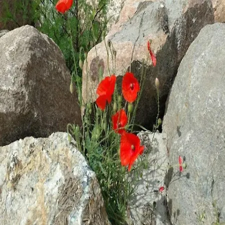 6 Person In Rudkobing-by Traum Σπίτι διακοπών
